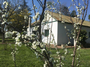 Finca Santo Pietro
